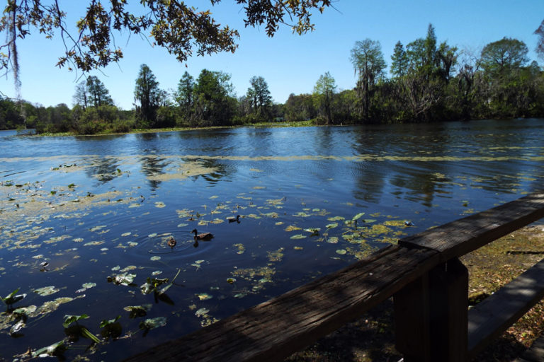 Water-View-Color-768x512